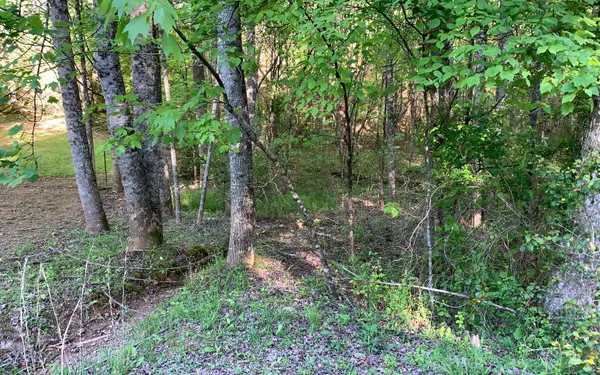 Murphy, NC 28906,LOT # Hunter Valley Road