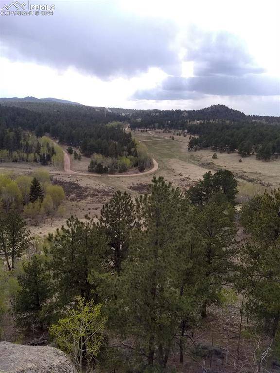 249 Whispering Pines DR, Florissant, CO 80816