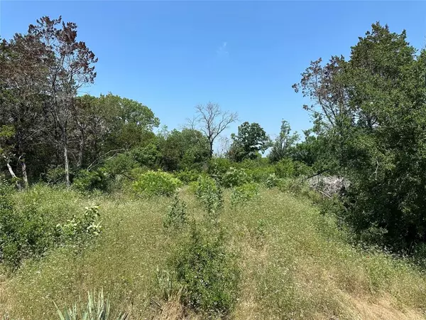 Weatherford, TX 76087,Lot 17 Sante Fe