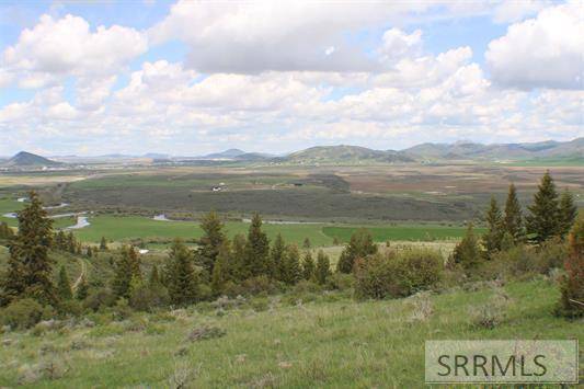 0042 Caribou Road, Soda Springs, ID 83276