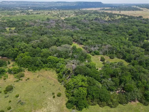 Blanket, TX 76432,TBD Lot 4 County Road 147