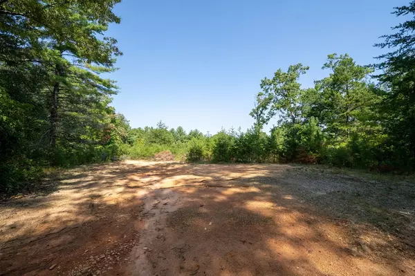 Blue Ridge, GA 30513,9.16 Ac. Sunrock Mountain Road