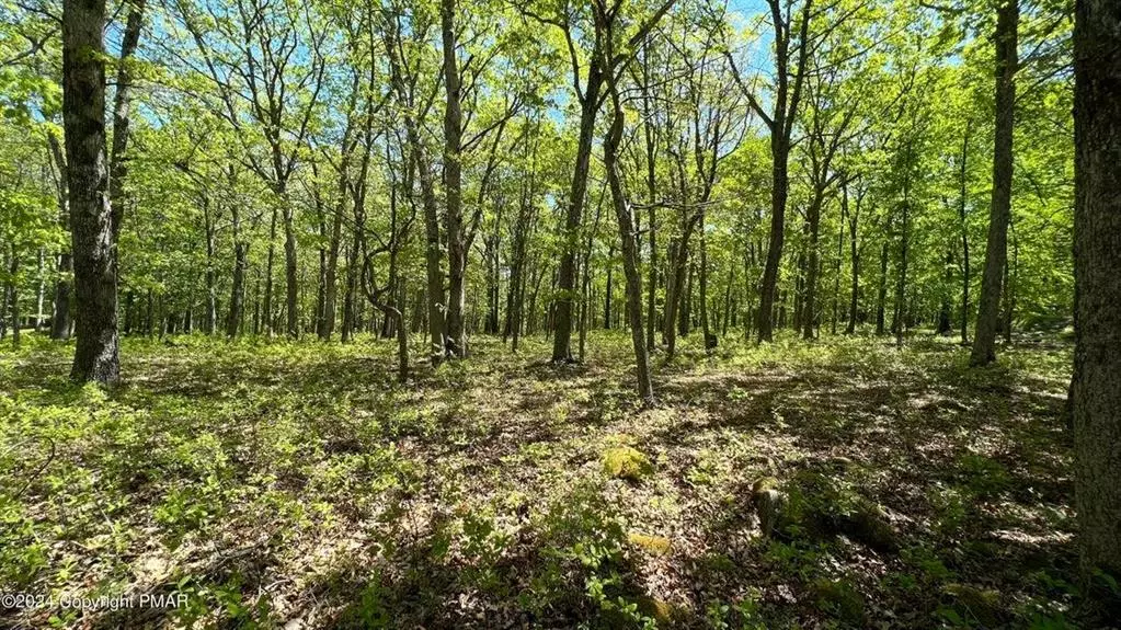 Lot 151 Bear Drive, Pike County, PA 18324