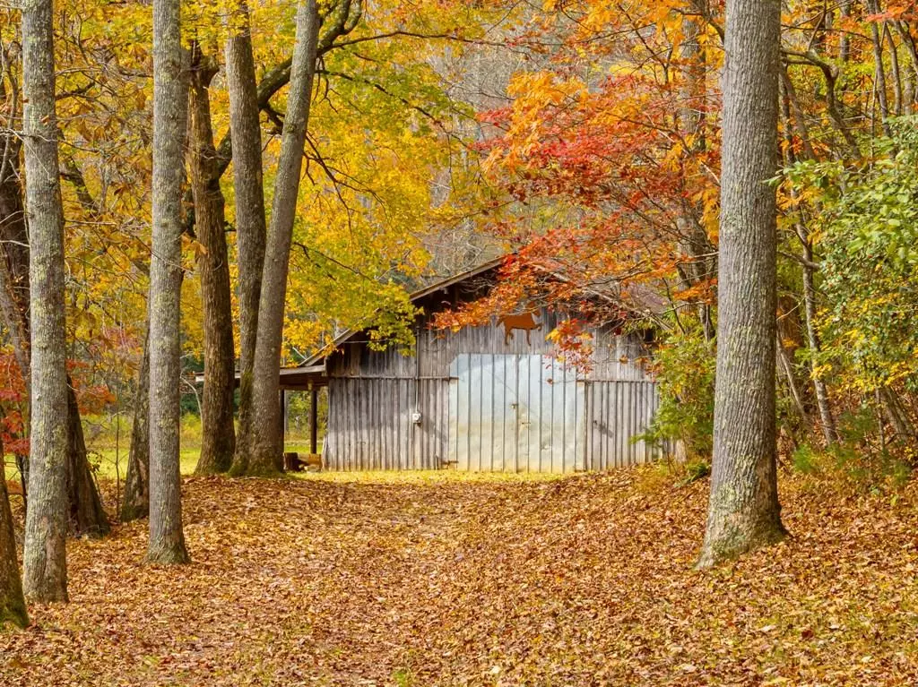 Blue Ridge, GA 30513,611 Stanley Creek Road