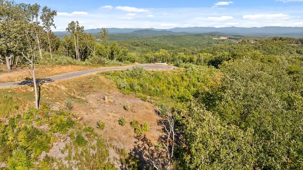 Talking Rock, GA 30175,Lot 169 Gray Bluff Trail