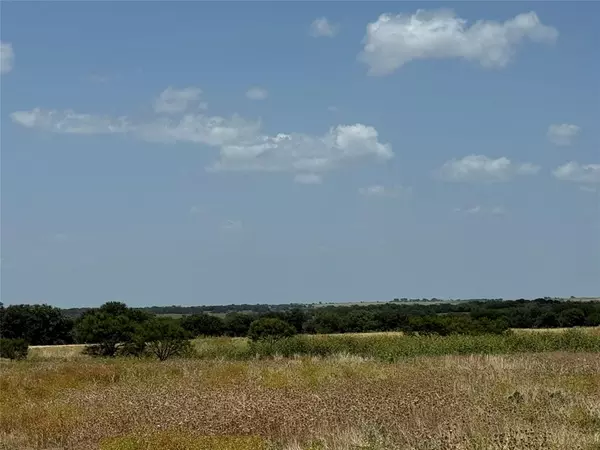 TBD FM 218 W, Indian Gap, TX 76531