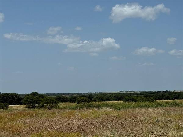 TBD FM 218 W, Indian Gap, TX 76531