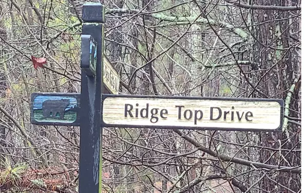 Ellijay, GA 30536,24 Ridge Top Drive