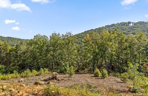 Talking Rock, GA 30175,Lot 169 Gray Bluff Trail