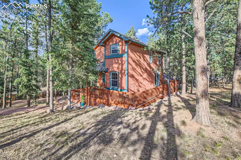 Woodland Park, CO 80863,901 Teller LN