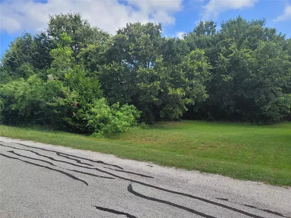 Cross Roads, TX 76227,Lot 29 W Oak Shores Drive