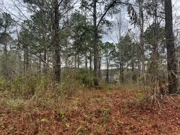 Quitman, GA 31643,00 Claybank Drive