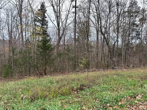 Lot 17 Cheyenne Drive, Jamestown, TN 38556