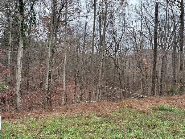 Lot 19 Cheyenne Drive, Jamestown, TN 38556