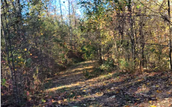 Ellijay, GA 30540,14 AC Old Burnt Mountain