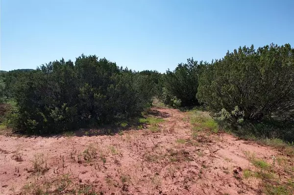 Tuscola, TX 79562,TBD Cr 127