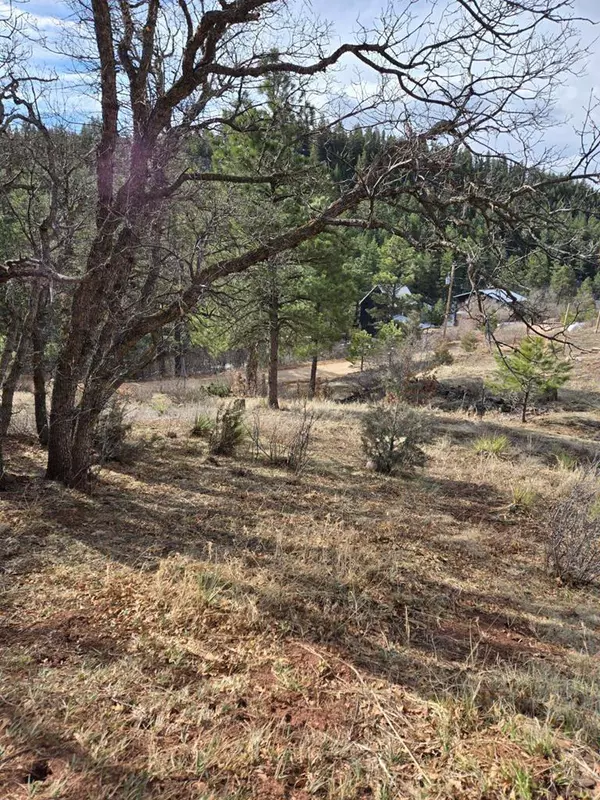 TBD Vine Mesa Ave, Beulah, CO 81023