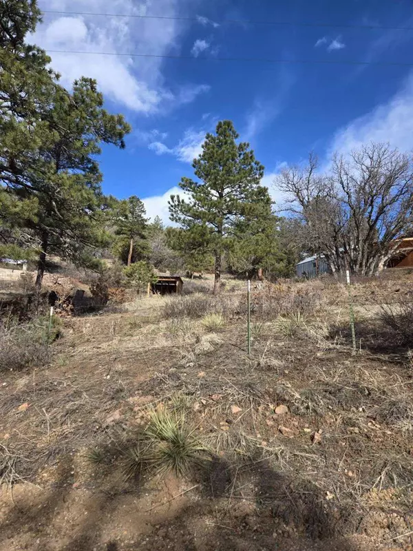 Beulah, CO 81023,TBD Vine Mesa Ave