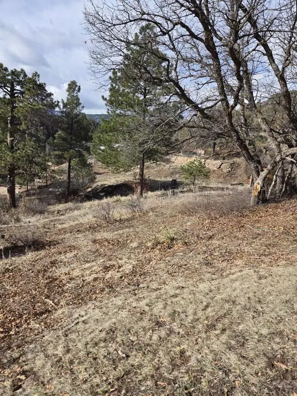 Beulah, CO 81023,TBD Vine Mesa Ave