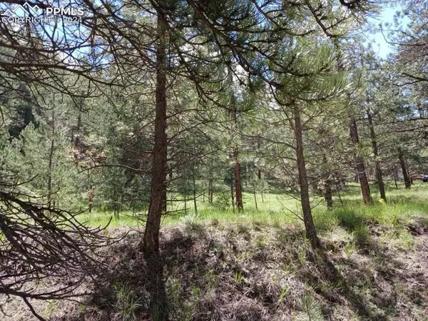 776 County Road 26, Canon City, CO 81212