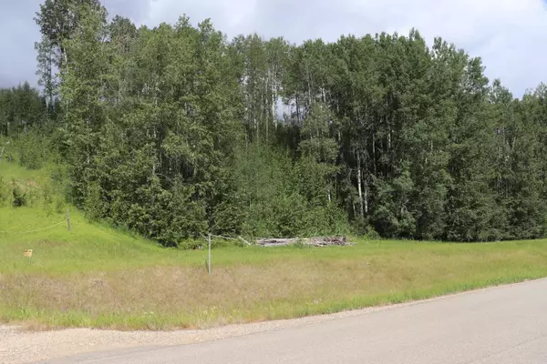 Rural Yellowhead County, AB T7E 3A6,16511 Township Road 532A #23