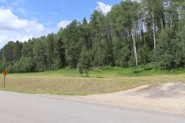 Rural Yellowhead County, AB T7E 3A6,16511 Township Road 532A #23