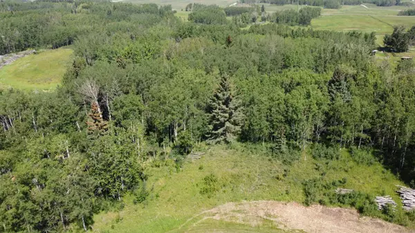 Rural Rocky View County, AB T4C2Y8,Lot 4 Elkstone EST