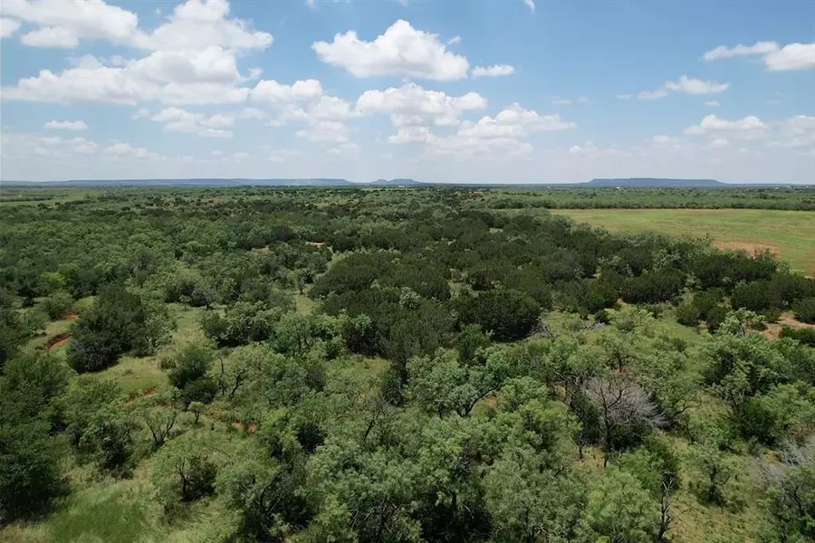 Tract 6 CR 180, Ovalo, TX 79541