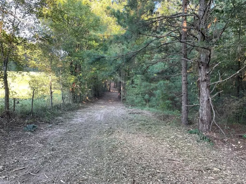 30 Acres TBD Highway 31, Tyler, TX 75705