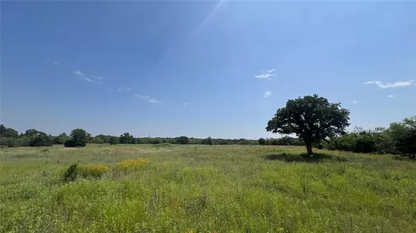 Eastland, TX 76437,1096 County Road 125