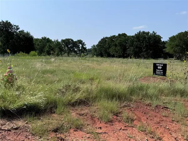 Glen Rose, TX 76043,TBD CR 2030 Lot 6