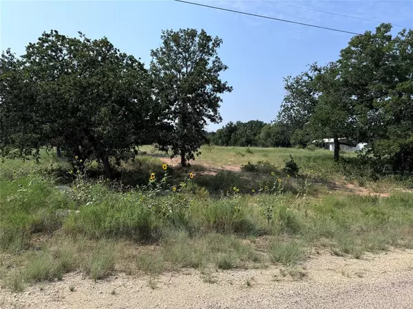 Glen Rose, TX 76043,TBD CR 2030 Lot 6