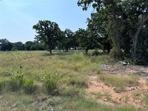 Glen Rose, TX 76043,TBD CR 2030 Lot 6