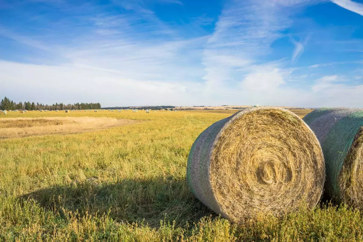 Rural Foothills County, AB T1S 0T3,NW;32;22;2;W5M