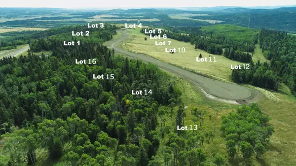 Rural Foothills County, AB T0L 1W4,Lot 15 Whiskey Springs HL W