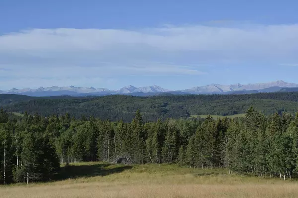 Rural Foothills County, AB T0L 1W4,Lot 15 Whiskey Springs HL W