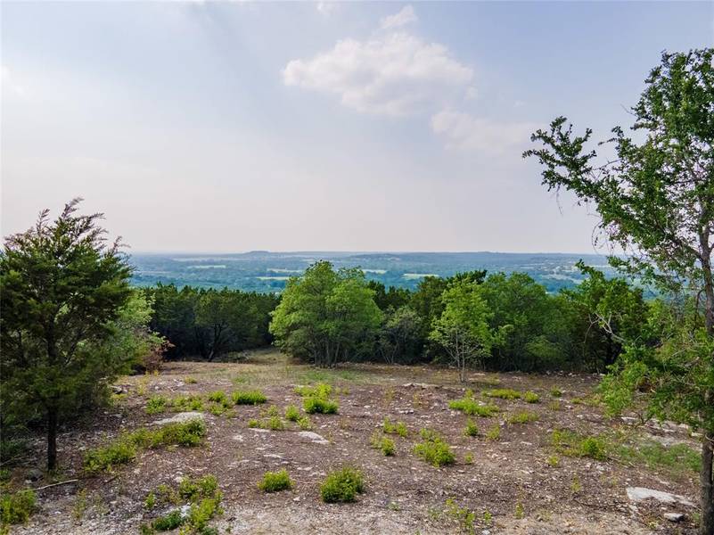 425 Bluff View Drive, Bluff Dale, TX 76433