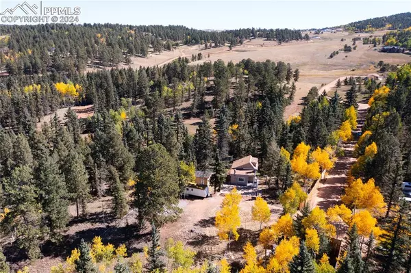 Florissant, CO 80816,7 Castle Peak LN