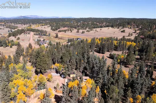 Florissant, CO 80816,7 Castle Peak LN