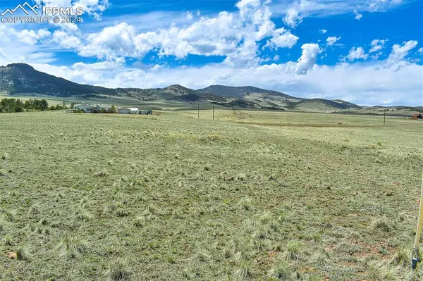 Guffey, CO 80820,74 Wrights LN