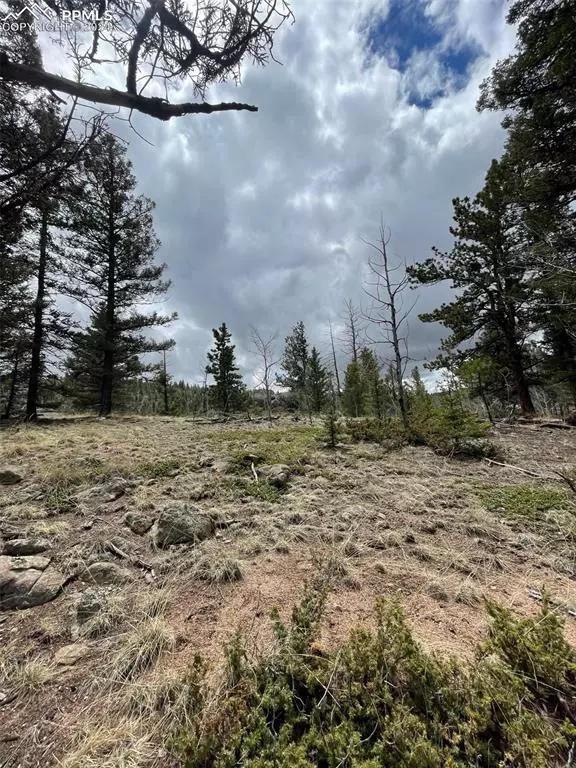 Florissant, CO 80816,266 Alpine DR