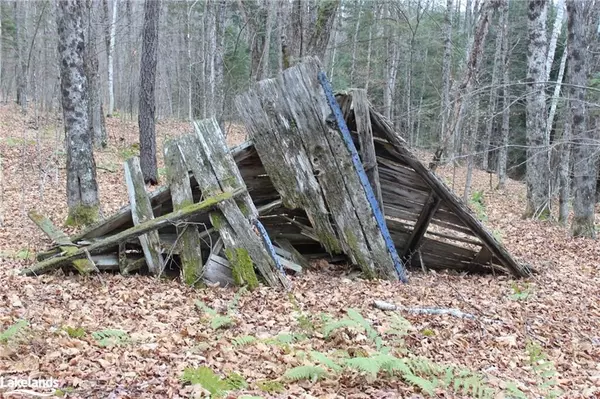 Haliburton, ON K0L 2Y0,0 OLD FOLKS RD