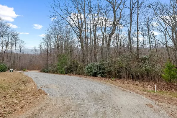 Ararat, VA 24053,Lot 23 W Pheasant Chase