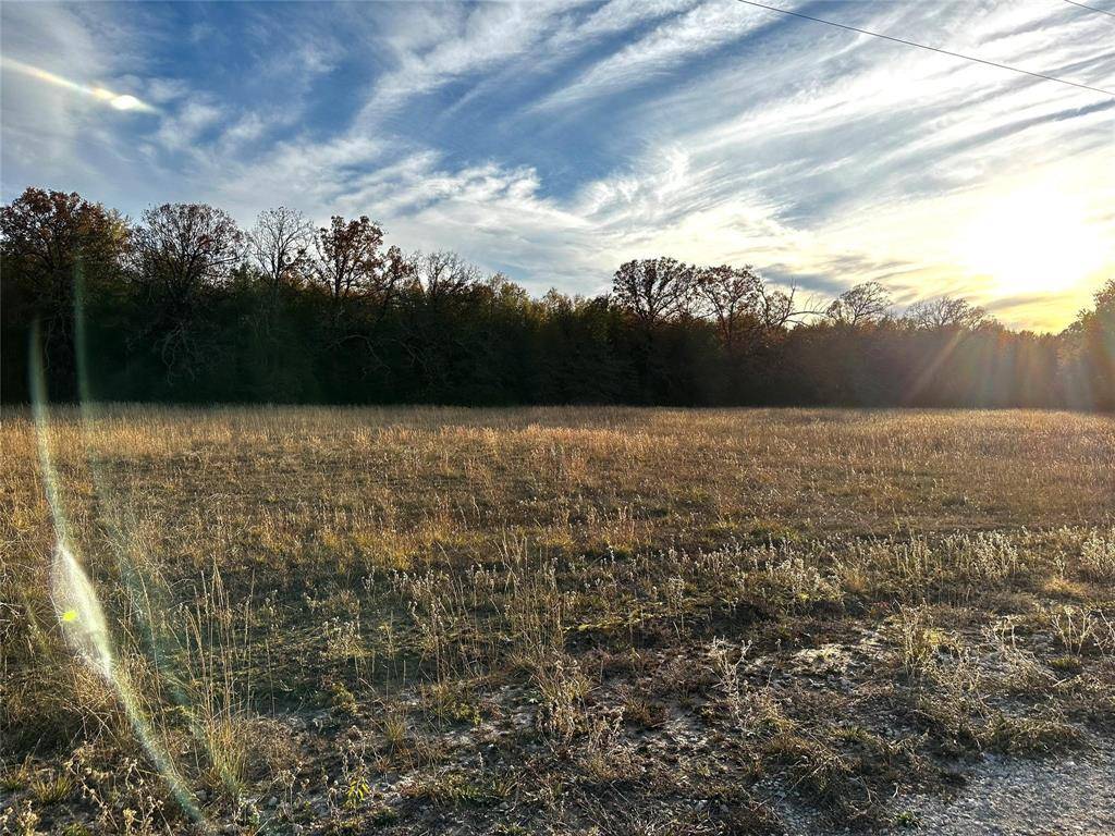 Blossom, TX 75416,Lot 6 PR 45855