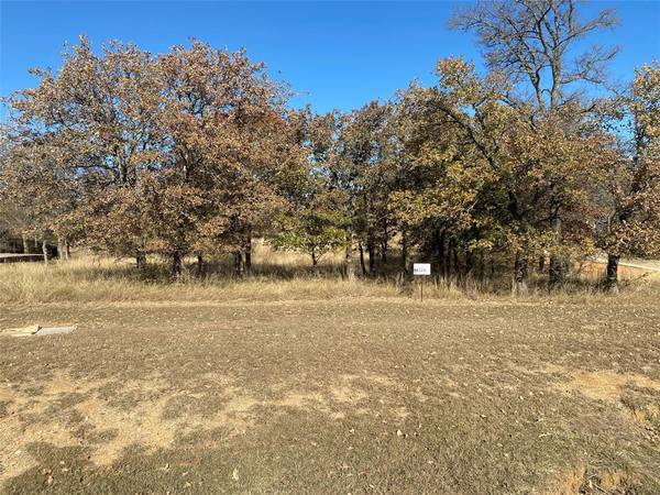 Lipan, TX 76462,720 S Sugartree Drive