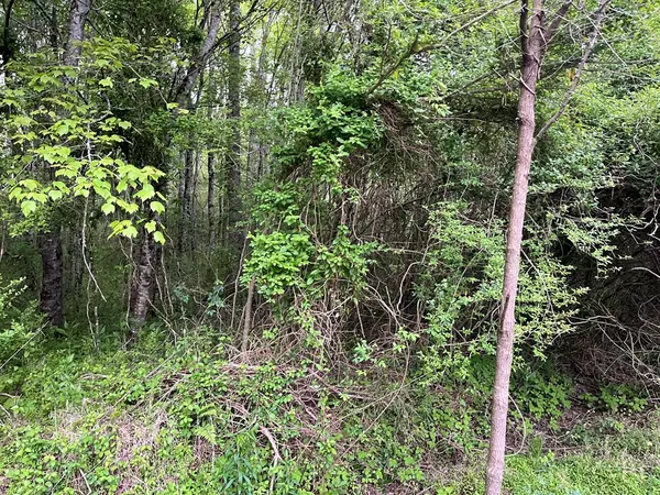 Hayesville, NC 28904,Lot S River Oaks Drive