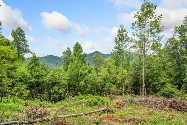 Hiawassee, GA 30546,00 Tom Wheeler Road