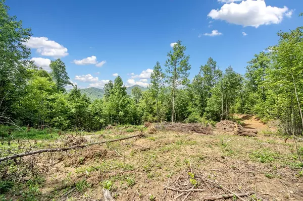 Hiawassee, GA 30546,00 Tom Wheeler Road