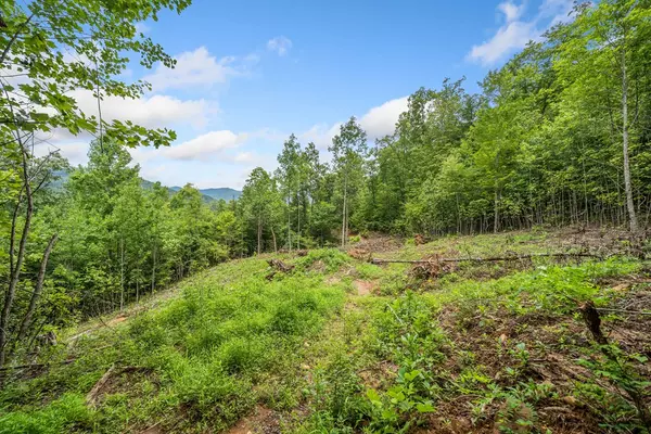 Hiawassee, GA 30546,00 Tom Wheeler Road