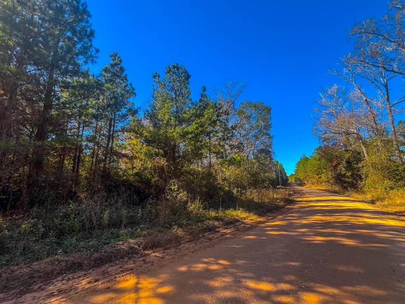 1410 Cr-545, Nacogdoches, TX 75961